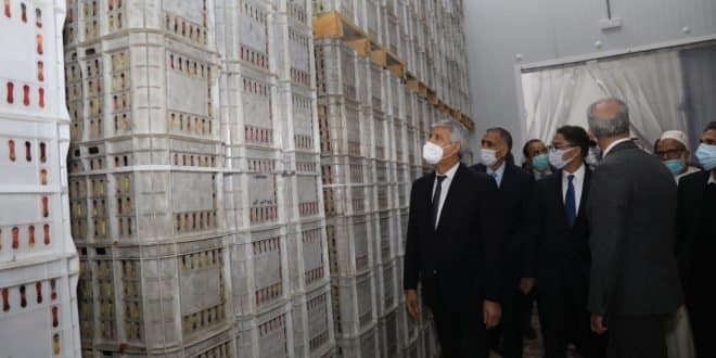 Pomiculture : Asni se dote d’une unité frigorifique de valorisation du pommier