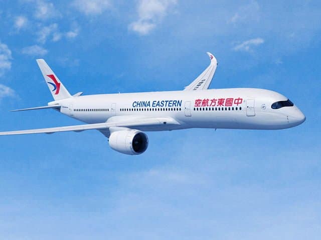 Chine: un avion avec à bord 132 personnes s'écrase dans le Sud-Ouest - VIDEO