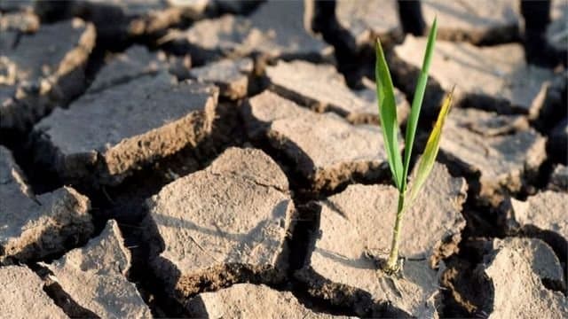 L’Afrique s’unit contre le dérèglement climatique
