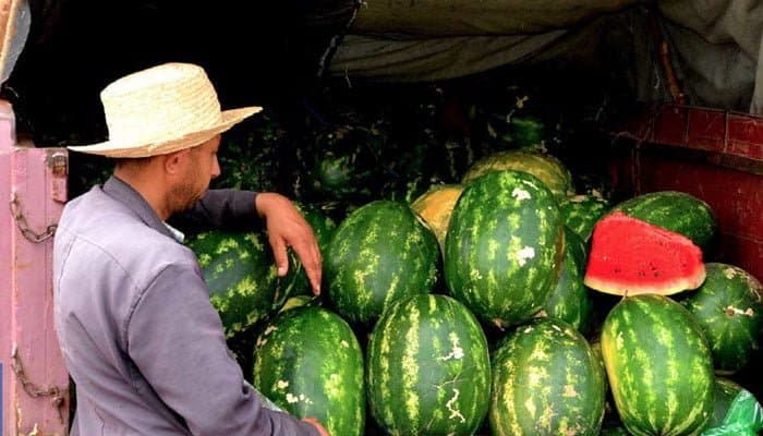 UE : La vente de pastèques provenant du Maroc progresse de +50,49 % !