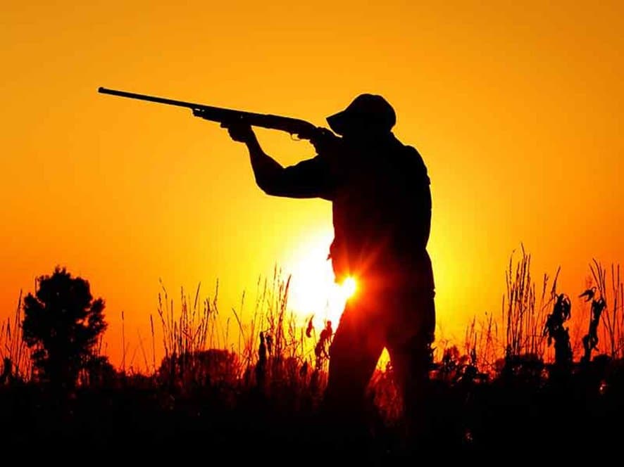 Chasse: un poids économique estimé à 1 MMDH
