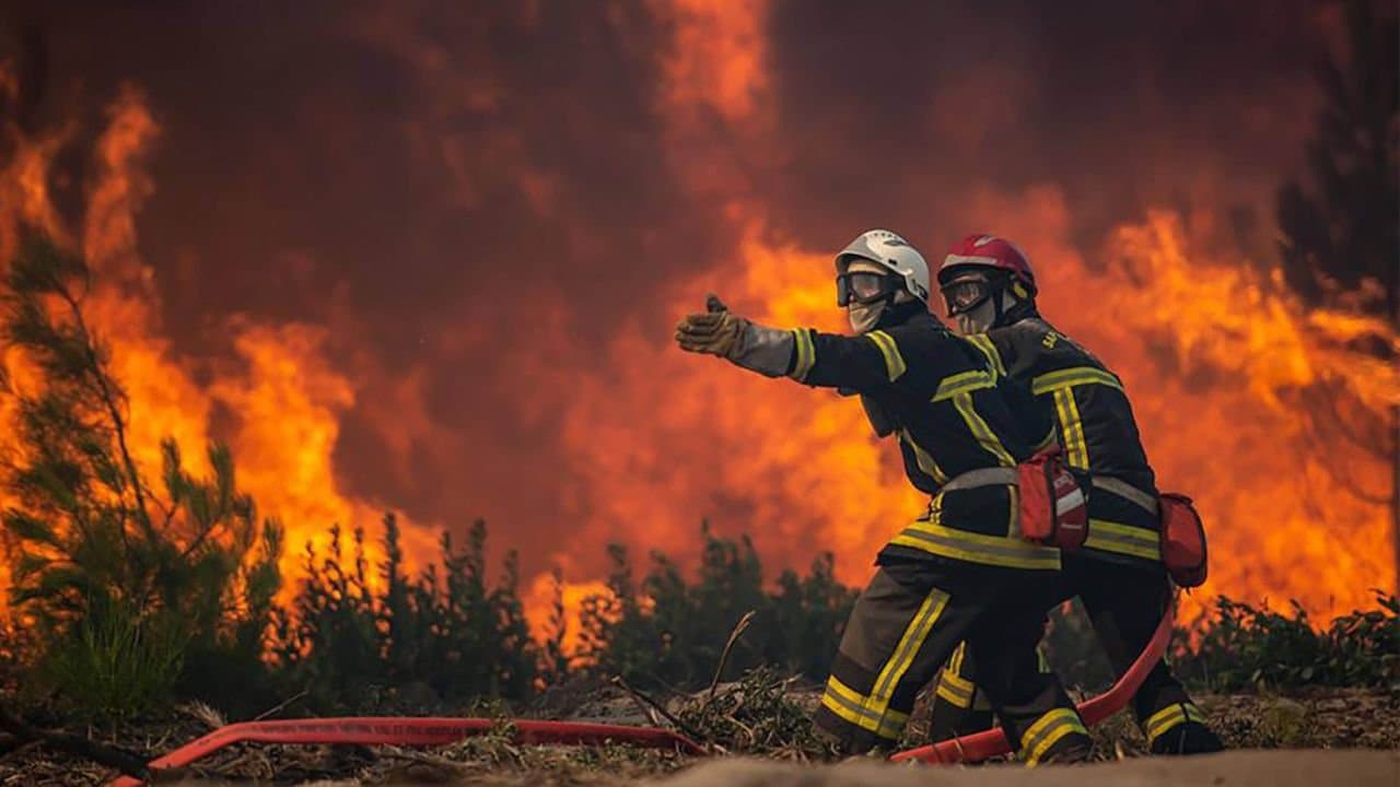 France/Incendies: Quelque 48.500 ha brûlés, un record dans l'histoire du pays