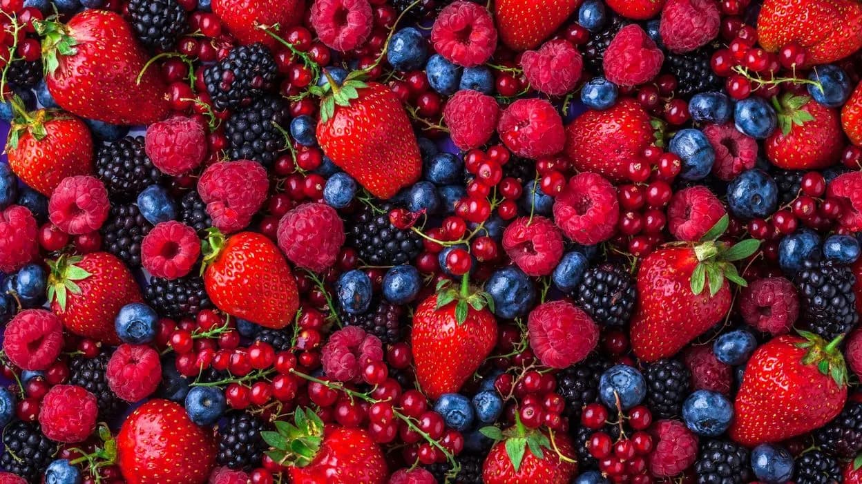 Produits maraîchers et des fruits rouges: Les exportations se portent bien