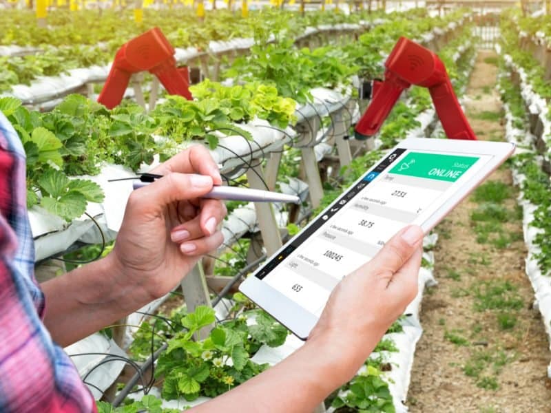 Agroalimentaire: Le Maroc dans le top 5 africain