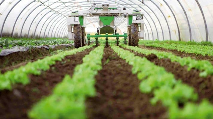 L’Europe va consacrer 115 millions d’euros pour soutenir l’agriculture écologique marocaine