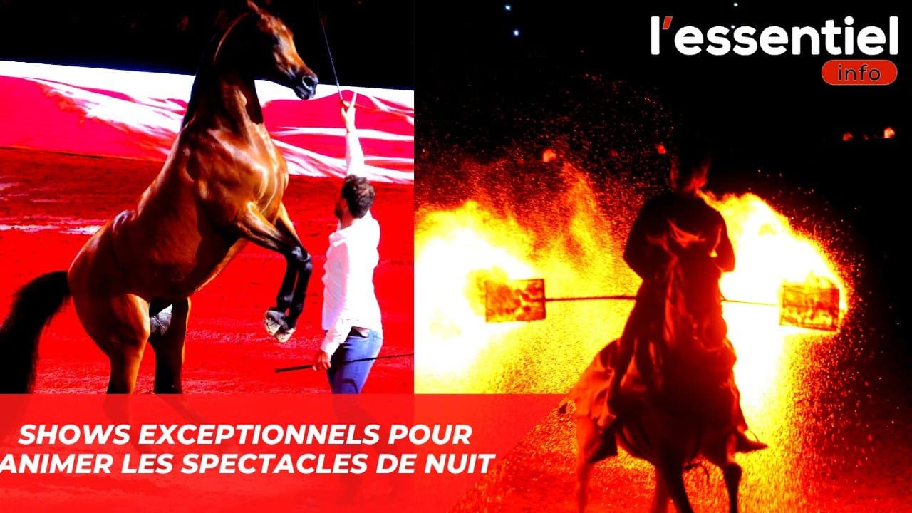 Salon du Cheval d'El Jadida : Des shows exceptionnels pour animer les spectacles de nuit - Vidéo