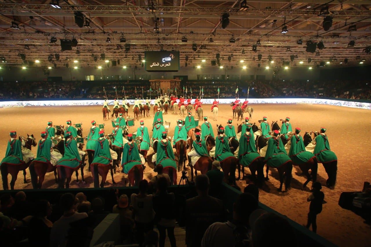 Vidéo .. Salon du Cheval d'El Jadida: Clôture Exceptionnelle avec des show de la Cavalerie de la Garde Royale,  la Gendarmerie Royale et la Police