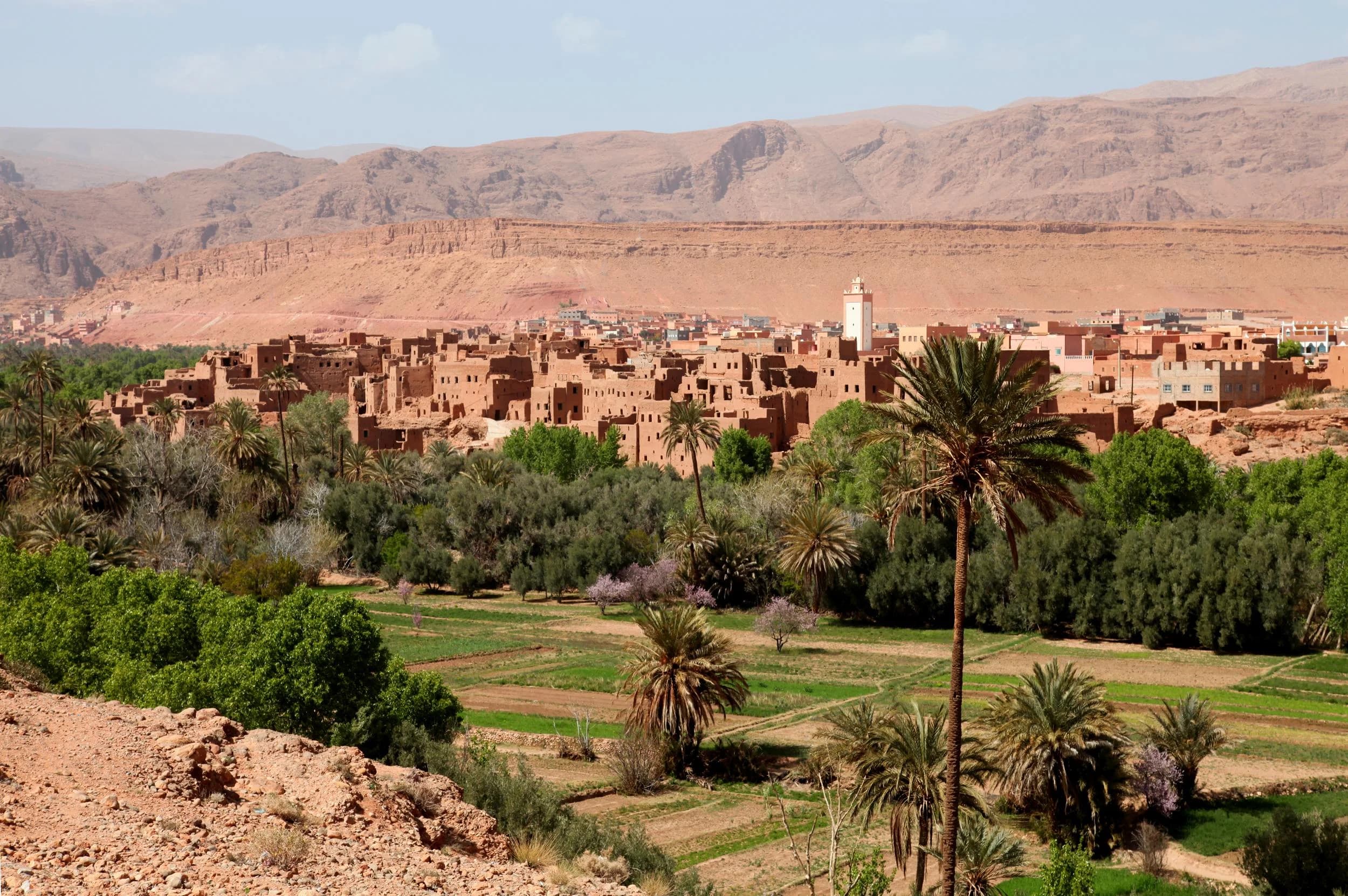 Taroudant...Le Khalifa d'un caid suspendu pour son implication présumée dans une affaire de pots-de-vin