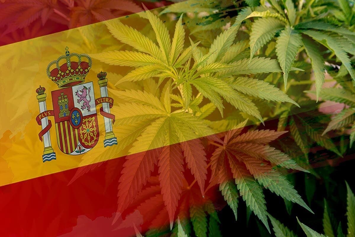 Plus ďune tonne de cannabis convoyée depuis l'Espagne saisie en France