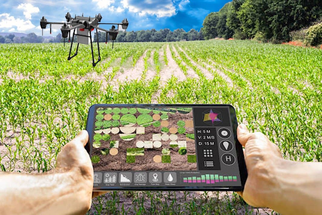 Agriculture: L’importance du digital dans l’amélioration de la production