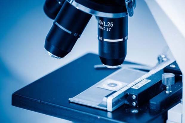 Des chercheurs israéliens identifient un déséquilibre cérébral lié à l'autisme