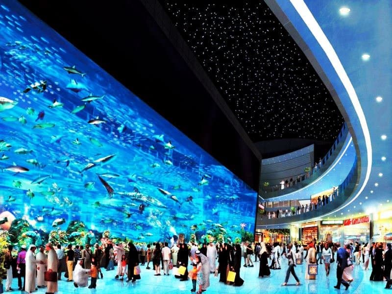 Emirats : ouverture du plus grand aquarium du monde à Abou Dhabi