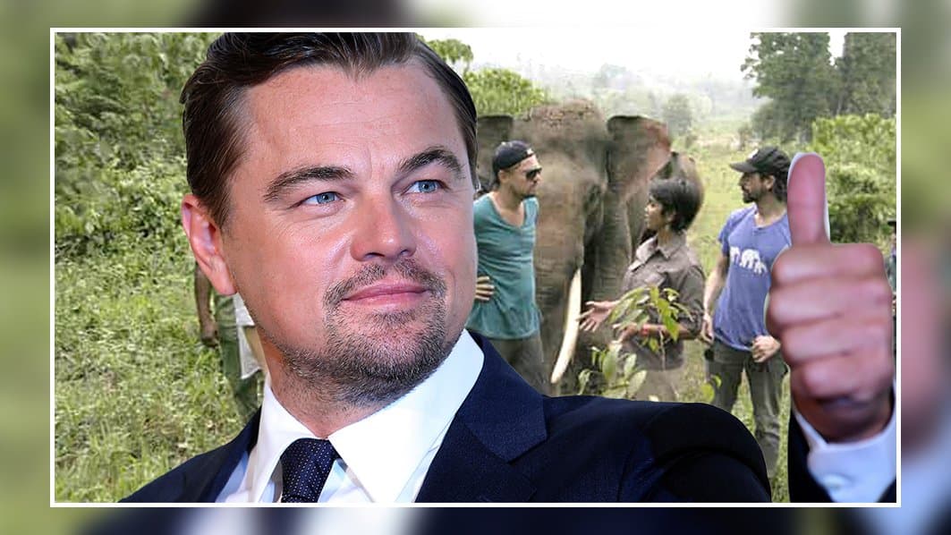 Cinema: Leonardo DiCaprio s'engage pour l'écologie par la co-production d'un film d'animation pour "sauver la planète"