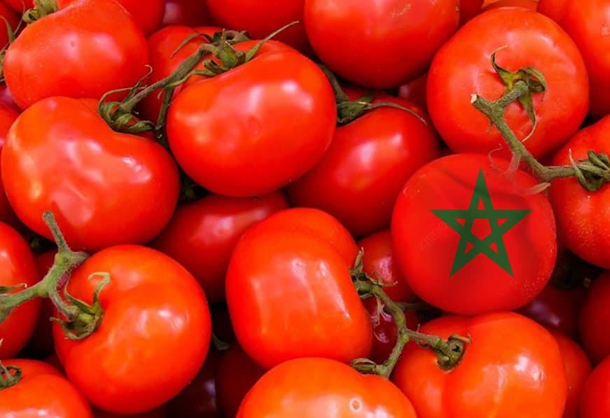 Soutien croissant aux tomates marocaines en Allemagne