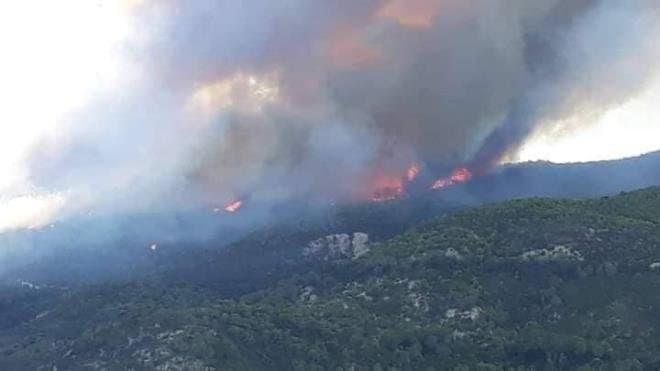 Tunisie: Incendies ravageurs encerclent Melloula ! La protection civile évacue les habitants