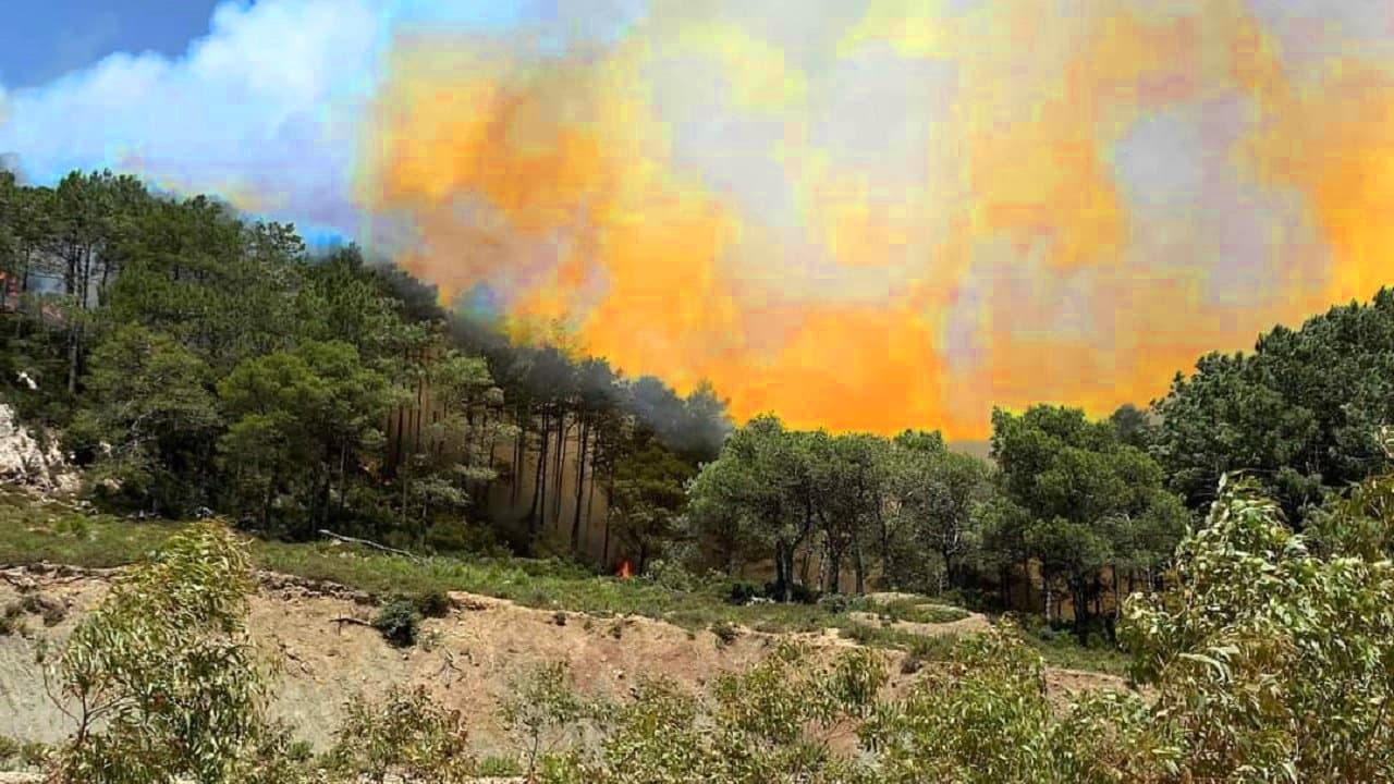 Risque d'incendie: L'ANEF appelle les utilisateurs des espaces forestiers à la vigilance