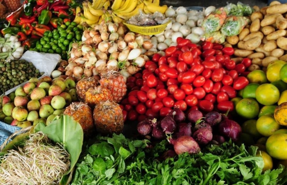 BRICS : Les ministres de l’Agriculture se réunissent pour la sécurité alimentaire