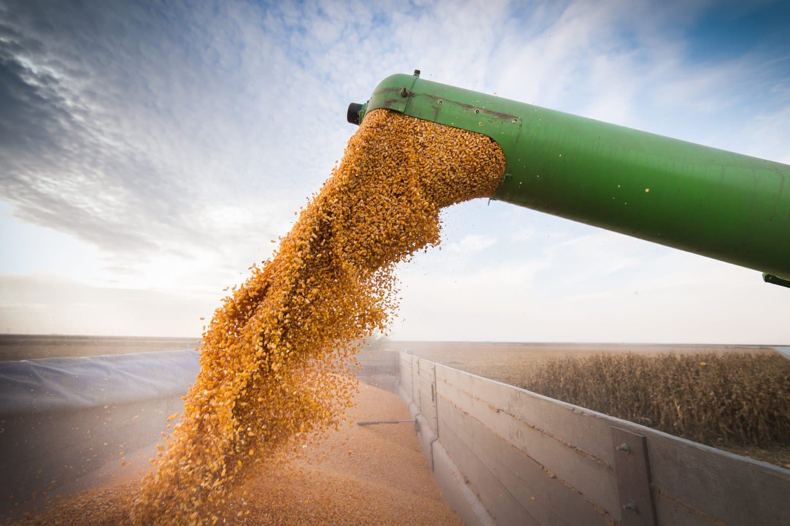 Campagne agricole 2022-2023 : une croissance prévisible de 3%