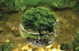 La Conférence PAGE Green Crossroads 2023 : Le Maroc à la Pointe de la Transition vers une Économie Verte.