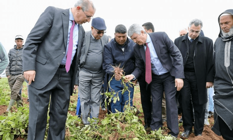 Le Ministre Sadiki annonce la finalisation de l'Agropole du Loukkos.