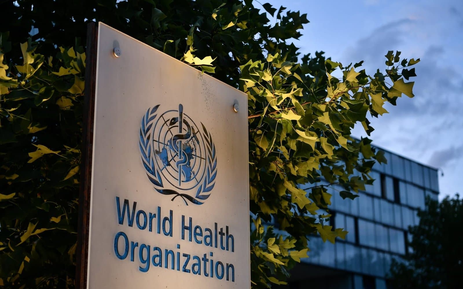 40900 cas de choléra dans le monde en janvier selon l'Organisation mondiale de la santé.