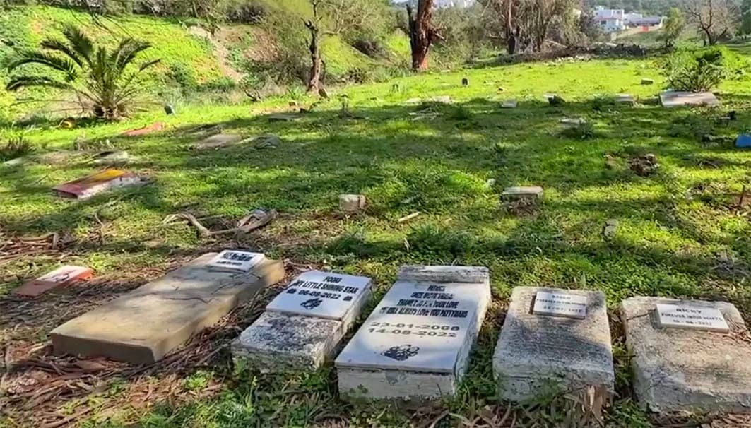 Tanger Après 80 ans d’existence: le cimetière des animaux vient d’être inscrit au patrimoine national