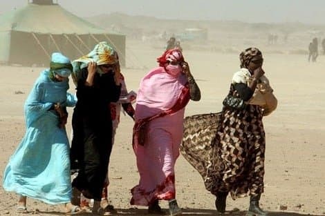Une organisation non gouvernementale condamne vivement la torture des femmes dans les camps de Tindouf