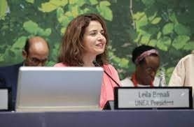 Le Maroc souligne ses réalisations à la tête de l'Assemblée de l'ONU-Environnement lors de l'ANUE-6