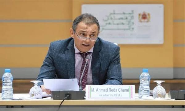 Le Conseil économique, social et environnemental s'engage à suivre les orientations de la Cour constitutionnelle