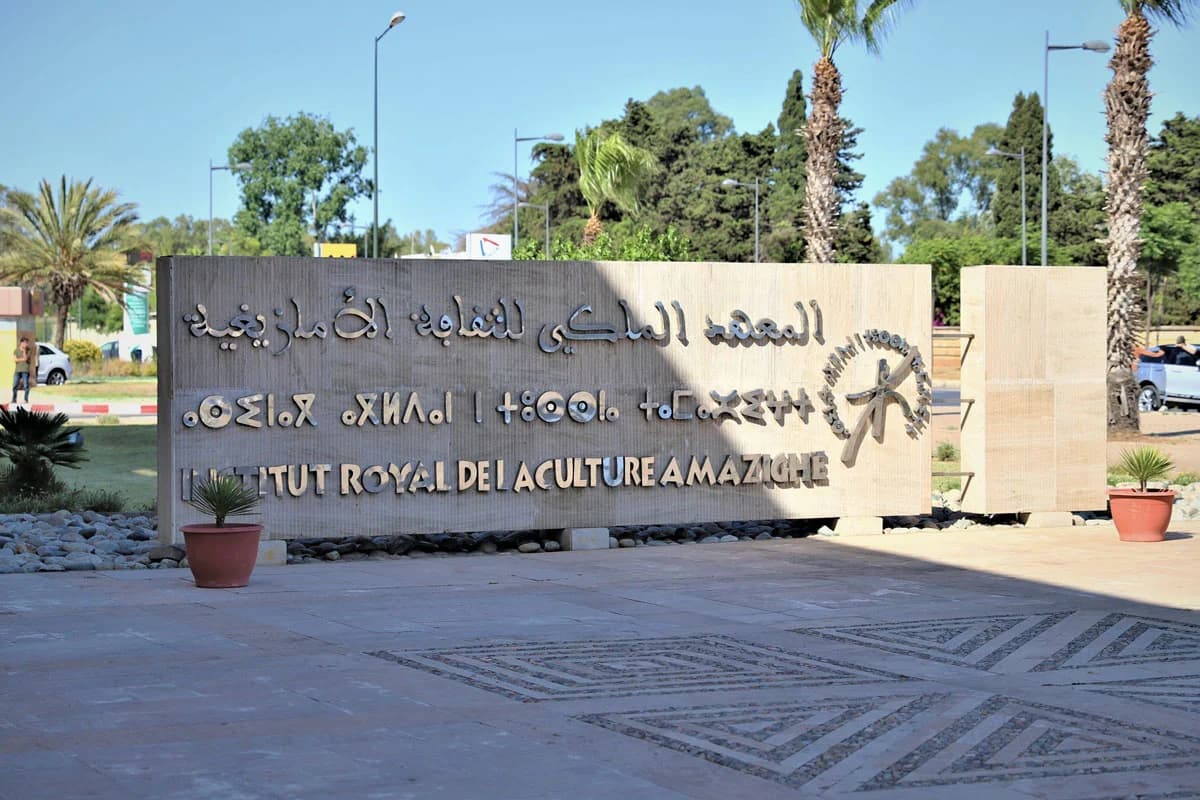 Publication d'un livre collectif sur la littérature de l'immigration en langue amazighe