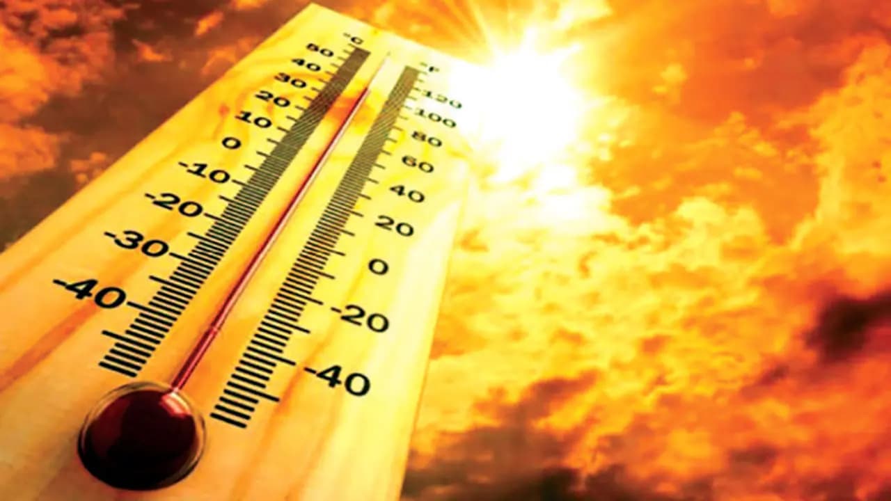Bulletin d'alerte… Vague de chaleur prévue dans plusieurs régions du Royaume du jeudi au dimanche