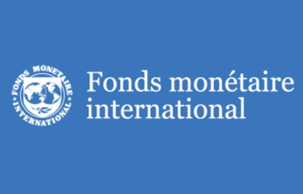 Les Pays les Plus Endettés : Analyse des Dernières Statistiques du FMI