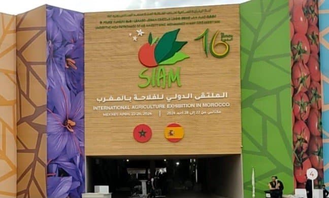 "IA Branding Factory" : 11 coopératives agricoles bénéficient de services innovants en intelligence artificielle