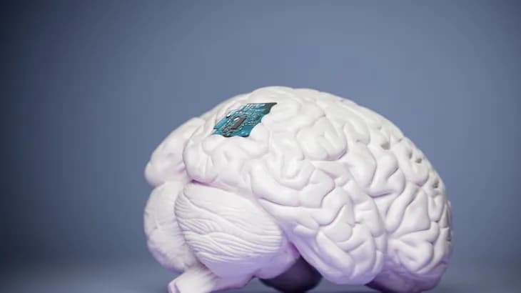 Une nouvelle étude identifie la boussole neuronale humaine