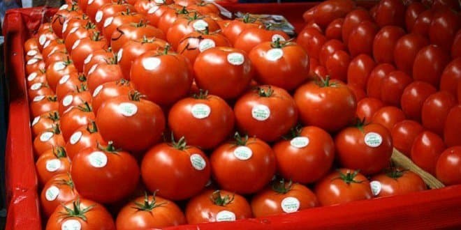 Les agriculteurs français ciblent à nouveau les produits marocains