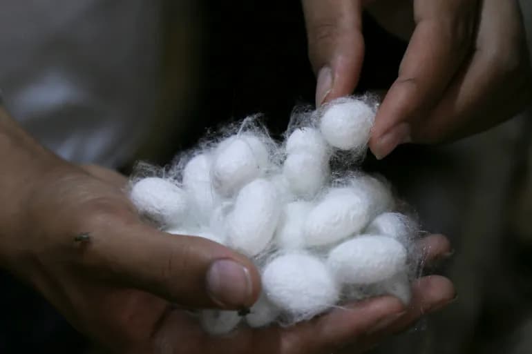 Les 10 plus grands pays producteurs et exportateurs de soie au monde. Et les Arabes ?