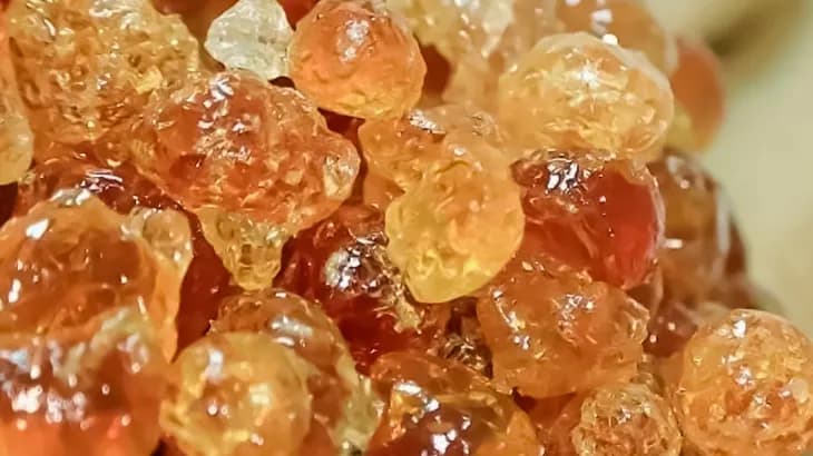 Soudan.. Comment la guerre a-t-elle affecté le plus grand producteur de gomme arabique au monde ?