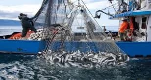 Le Maroc enregistre une baisse de 4 % de la valeur des produits de la pêche au premier semestre 2024