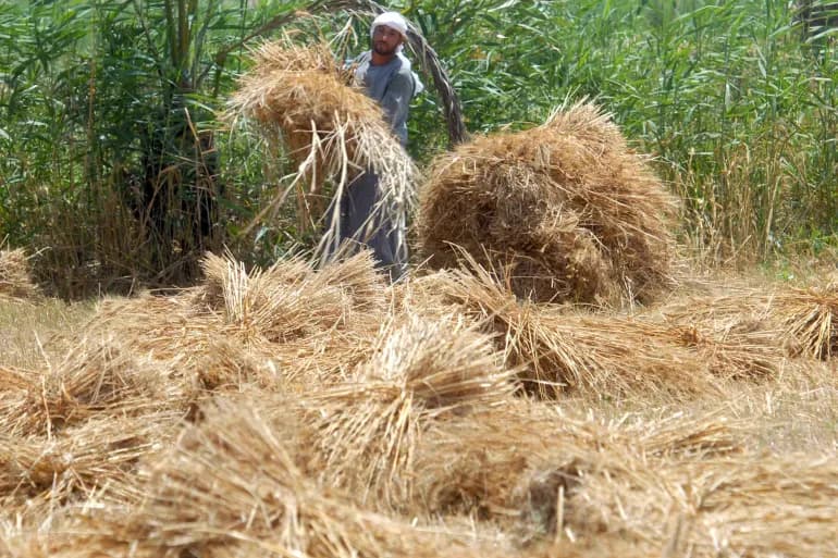 Une crise des engrais menace d'exacerber l'inflation en Égypte