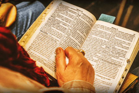 Une étude récente met en garde contre un risque pour la santé des livres anciens anciens en raison des colorants toxiques sur leurs couvertures.