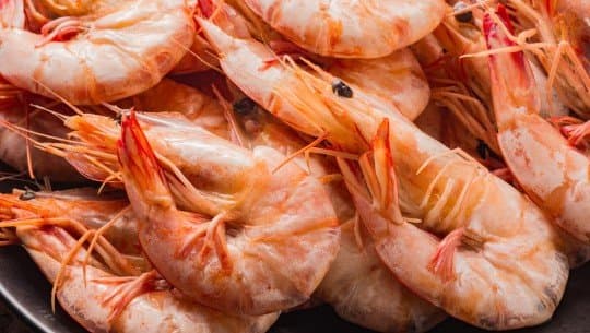 Crevettes marocaines interdites en Espagne