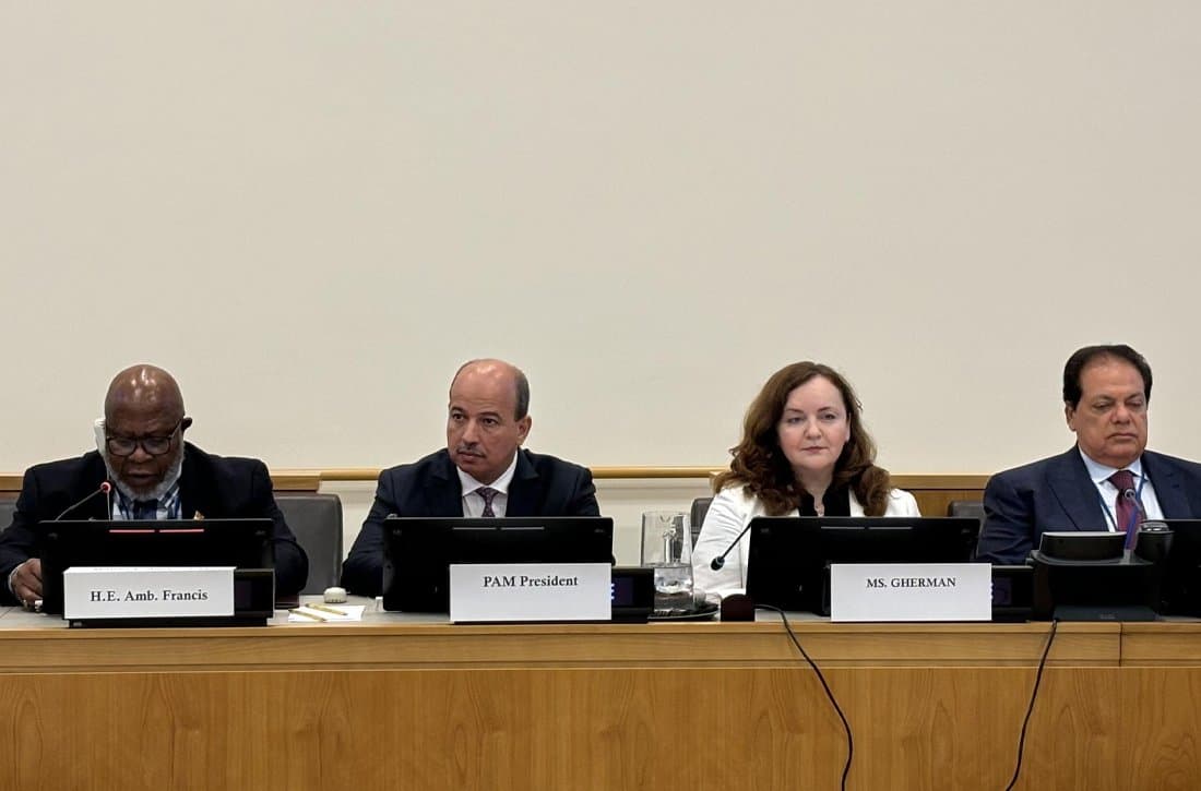Mayara copréside à New York une réunion sur la gouvernance multilatérale