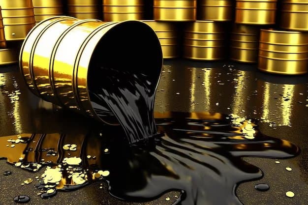 Chute du Prix du Pétrole : Le Maroc à Contre-Courant