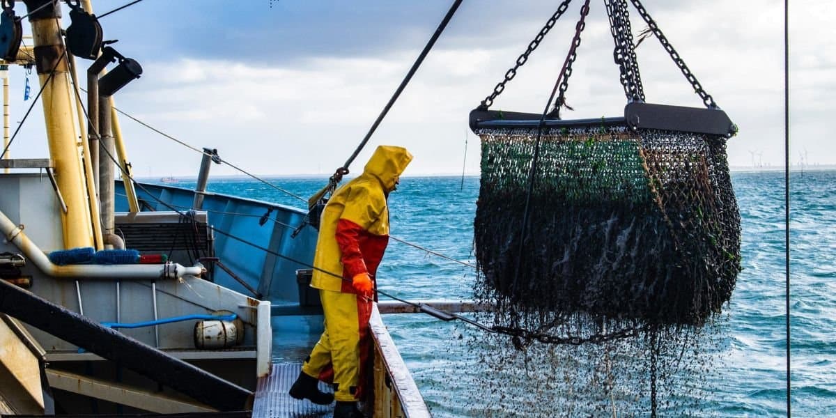 Baisse des déchargements de pêche à Tanger jusqu’à fin Août