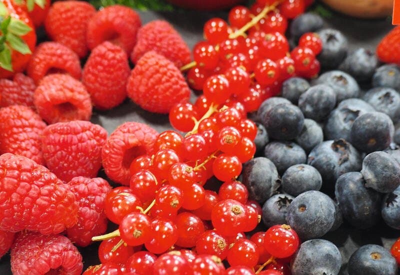 Le secteur des fruits rouges au Maroc : croissance et défis environnementaux