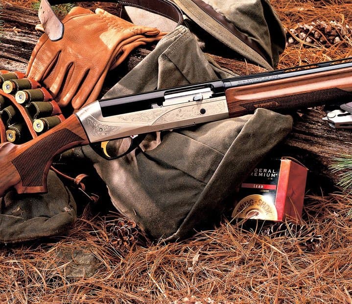 Chasse au Maroc : Entre essor économique et menace du braconnage