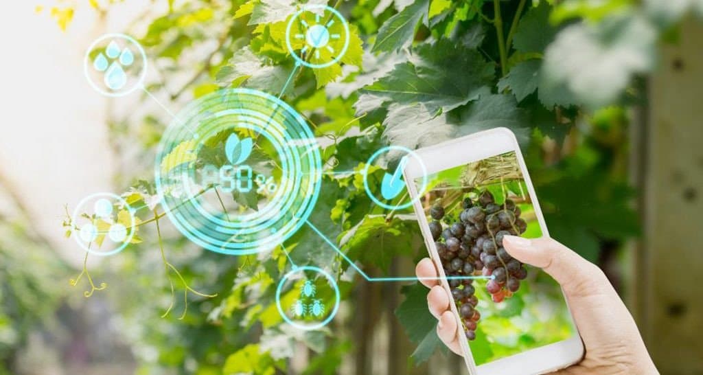 Stratégie Génération Green : Accélération de la digitalisation de l’agriculture marocaine