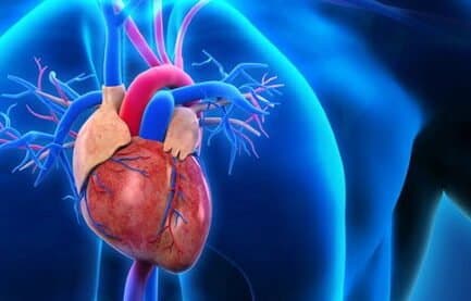 Les jus de fruits augmentent les risques cardio-vasculaires que les friandises
