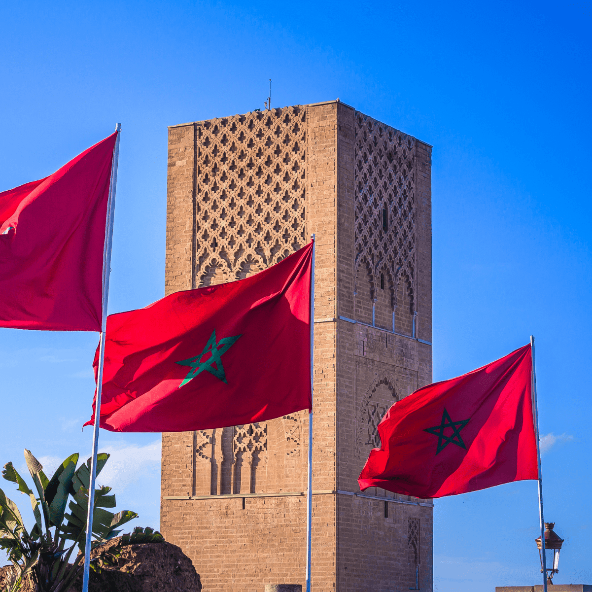Le taux de chômage au Maroc atteint 13,3 % en 2024