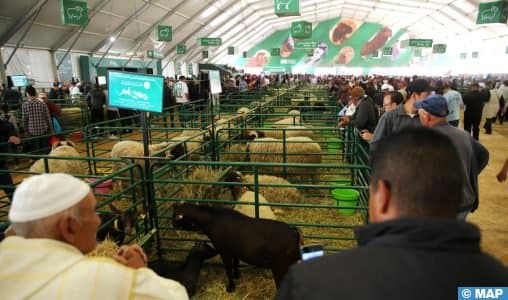 SIAM 2025 : Forte affluence au Salon de l’Agriculture à Meknès